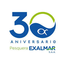 cliente exalmar rics services